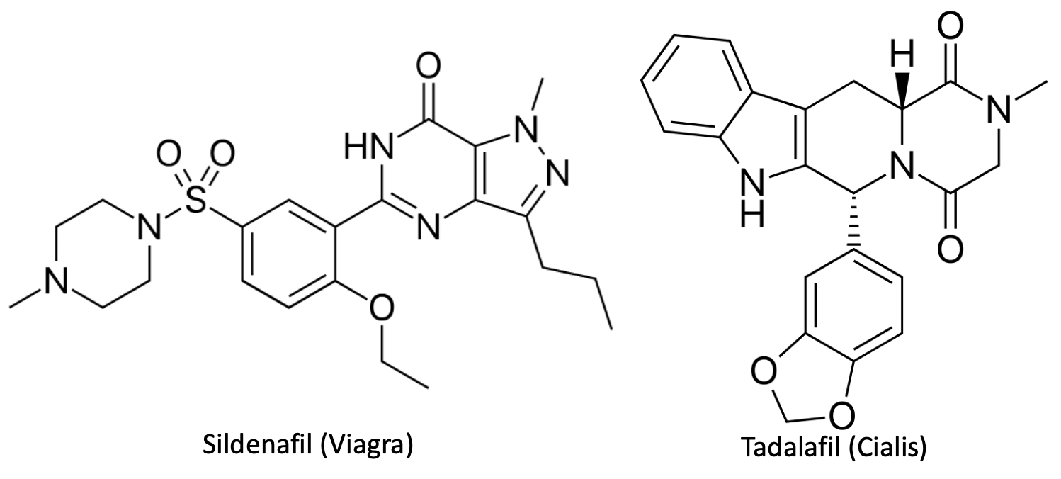 Drug Half Life Why Viagra Works for 4 Hours But Cialis Works for